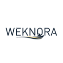 WeKnora logo